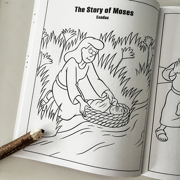 The Beginners Bible Colouring Book